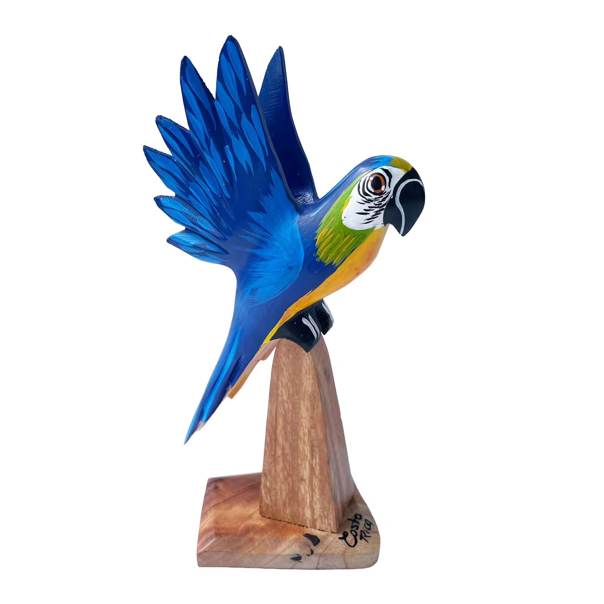 Blue macaw, hand-painted reclaimed wood, handmade Costa Rica souvenir (detail 1)