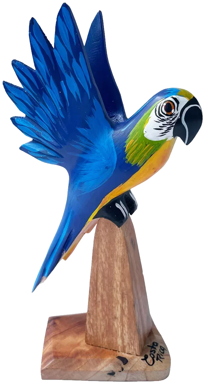 Lapa azul, pintada a mano en madera recuperada, souvenir artesanal de Costa Rica (pieza en ambiente)